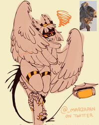 owl study